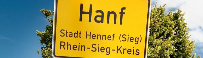 Hanfschild-16zu9-80%